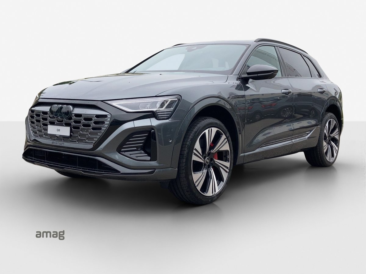 AUDI Q8 55 e