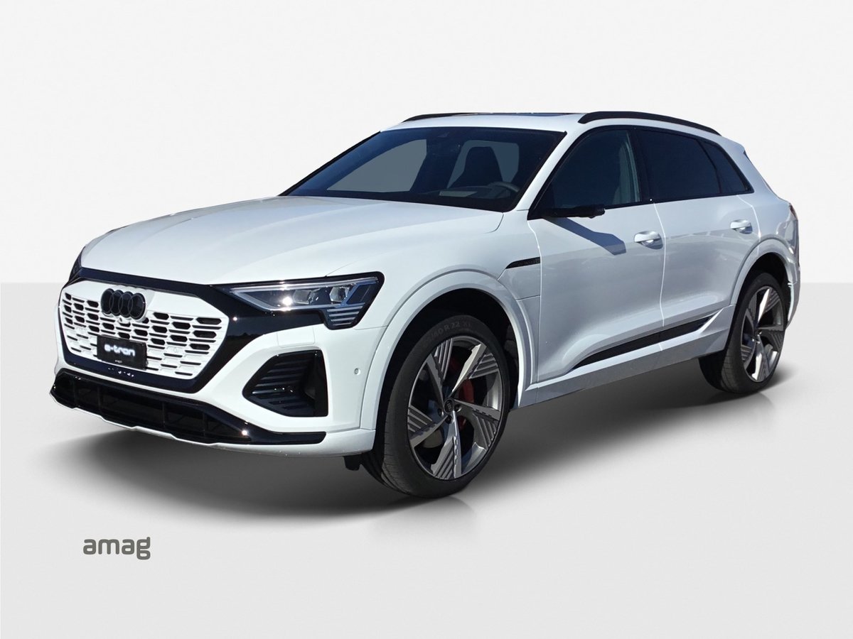 AUDI Q8 55 e