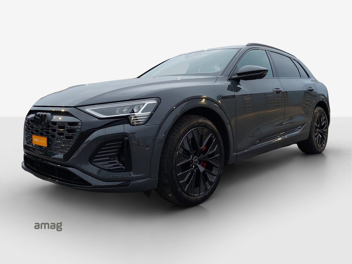 AUDI Q8 55 e