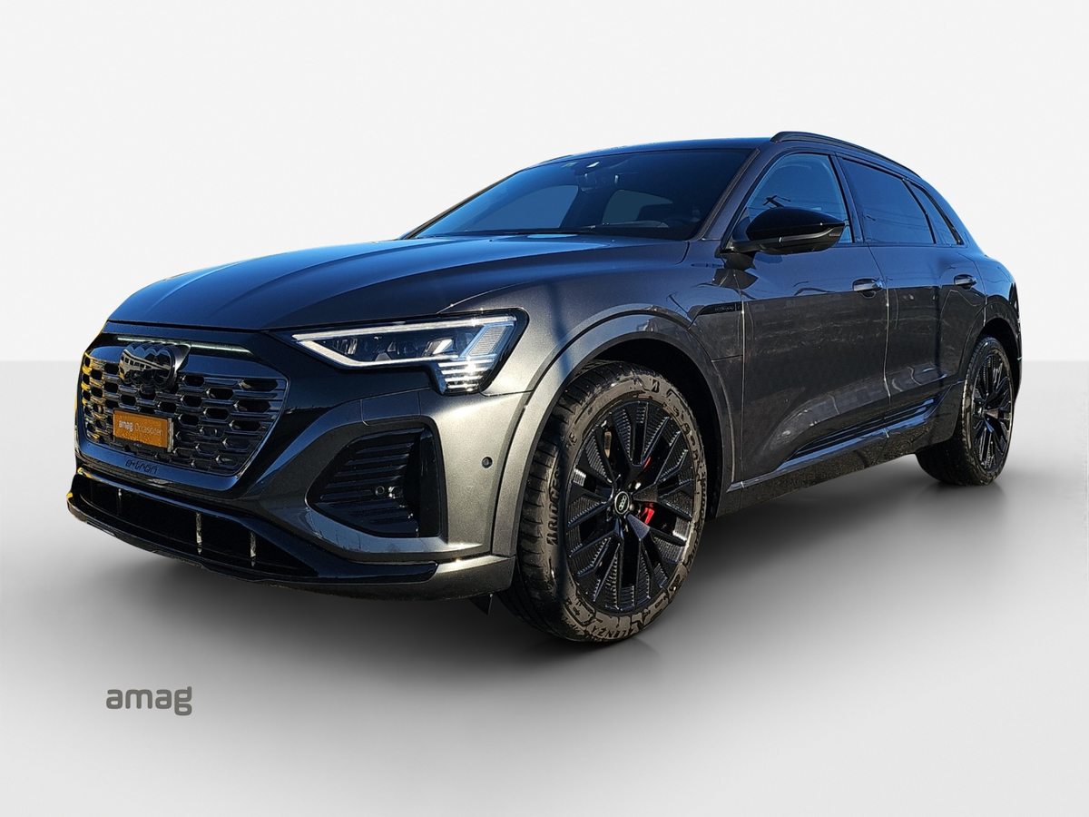 AUDI Q8 55 e