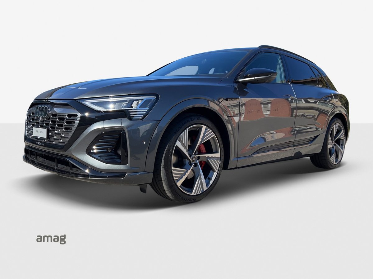 AUDI Q8 55 e