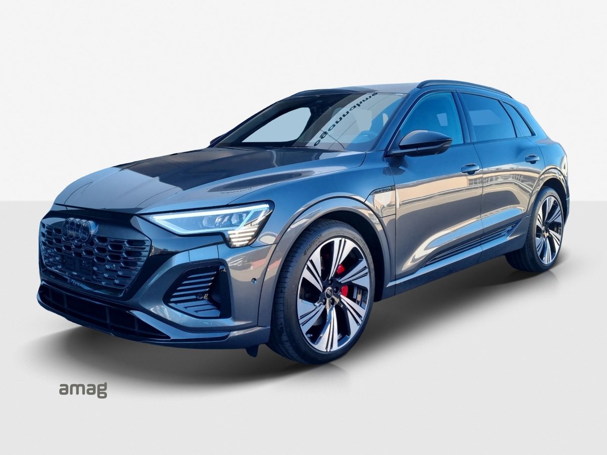 AUDI Q8 55 e