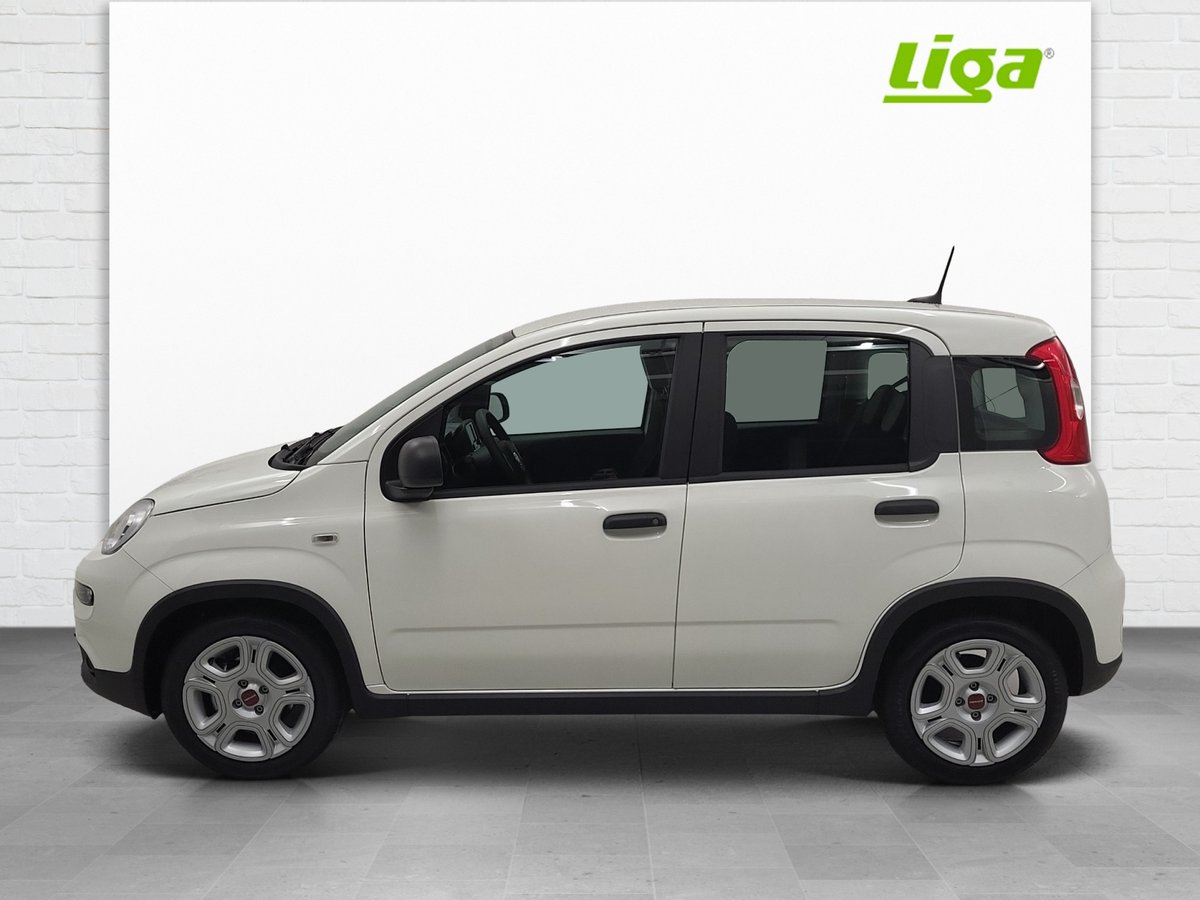 FIAT Panda 1.0 Hybrid Cult Plus neu für CHF 15'990,