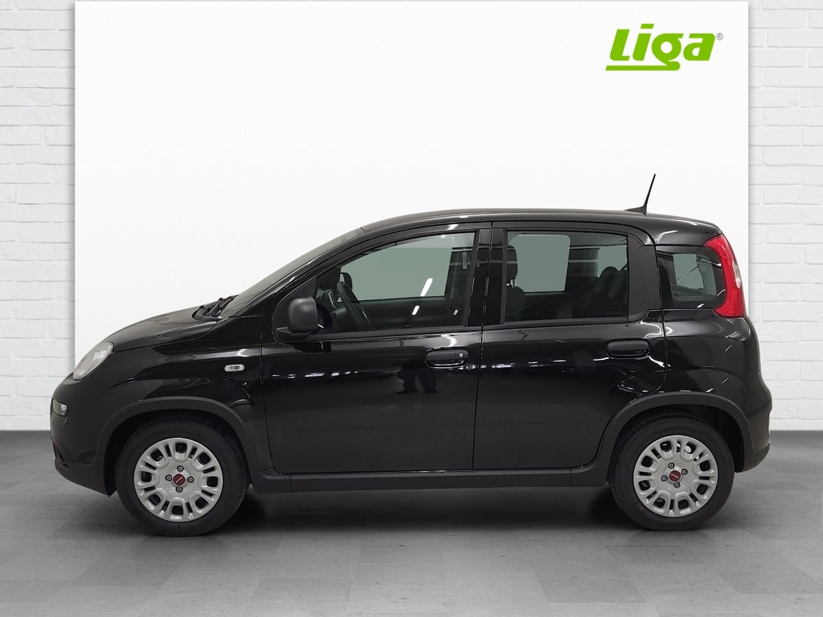 FIAT Panda 1.0 Hybrid Cult Plus neu für CHF 17'500,