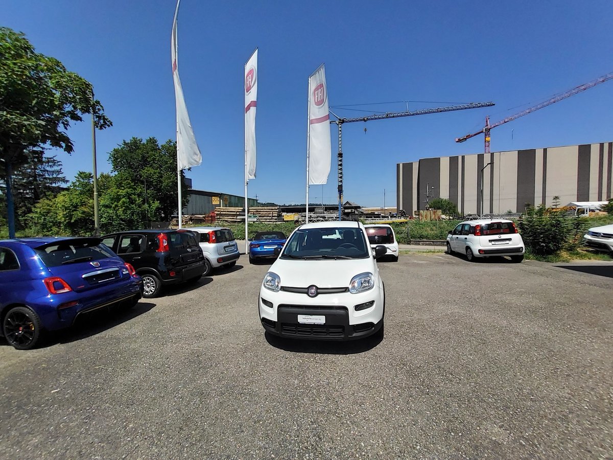 FIAT Panda 1.0 MHEV Cult neu für CHF 16'440,