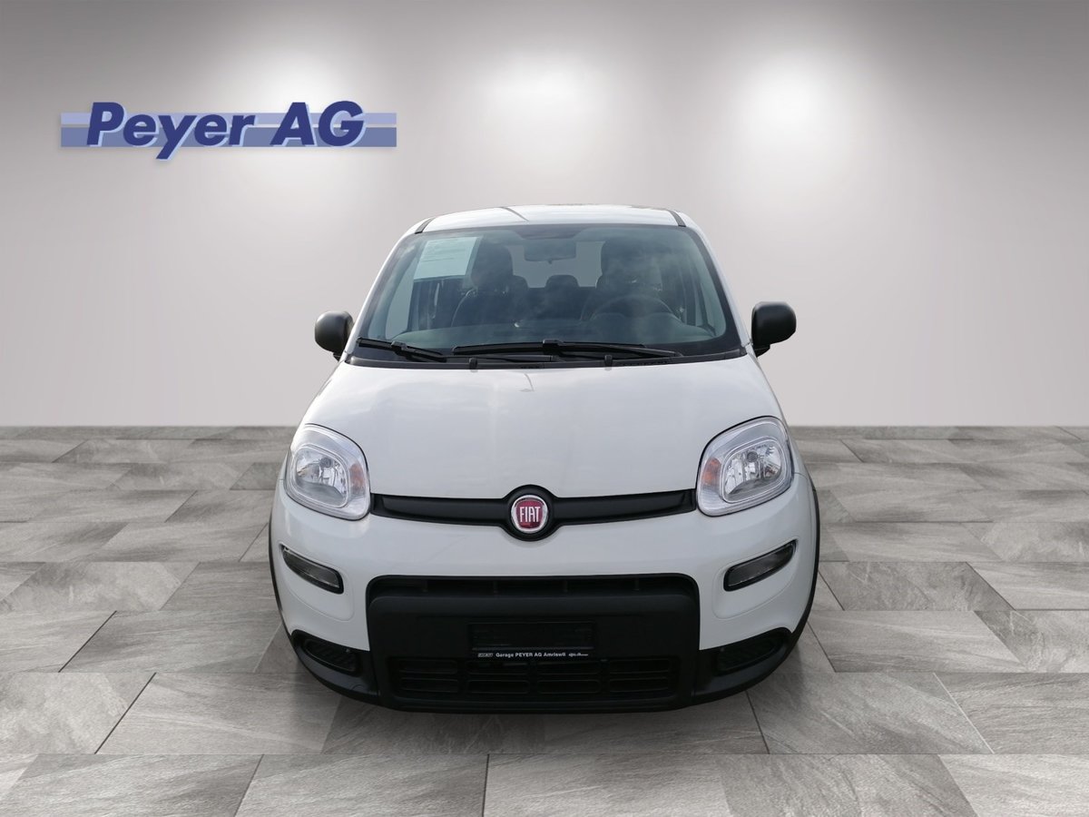 FIAT Panda 1.0 Hybrid Cult neu für CHF 17'300,