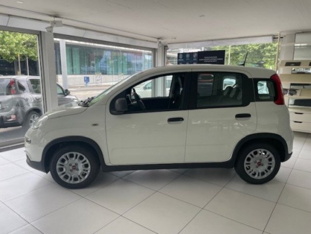 FIAT Panda 1.0 MHEV Cult vorführwagen für CHF 16'850,