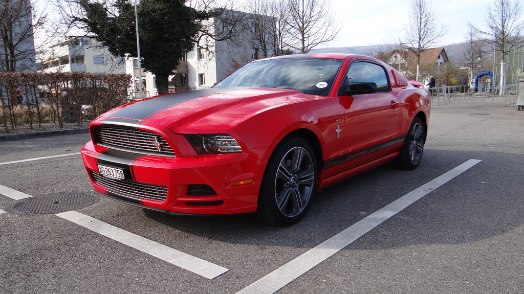 FORD ST gebraucht für CHF 19'900,